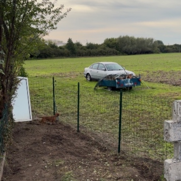 Foto dell'alloggio