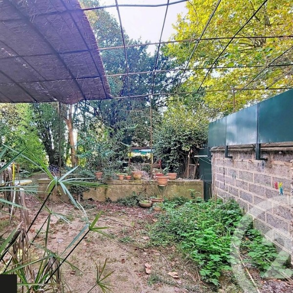 Foto dell'alloggio