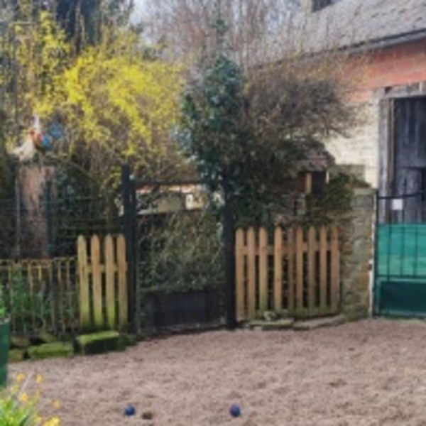 Foto dell'alloggio