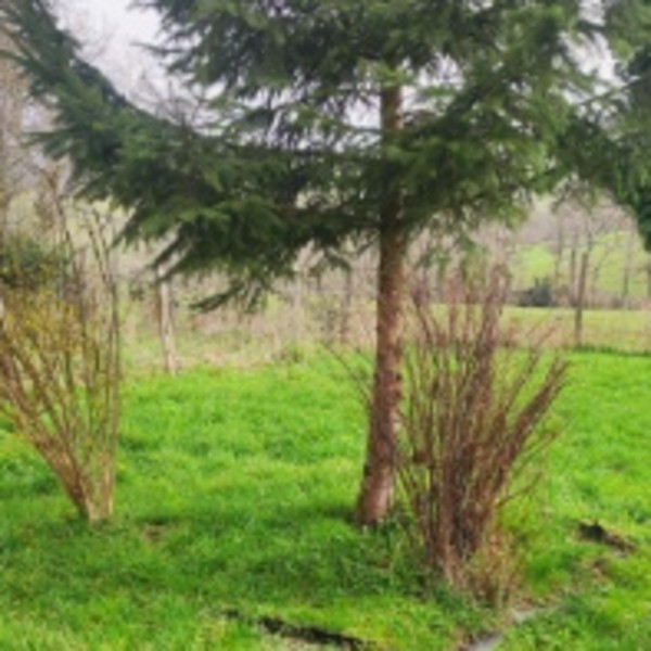 Foto dell'alloggio
