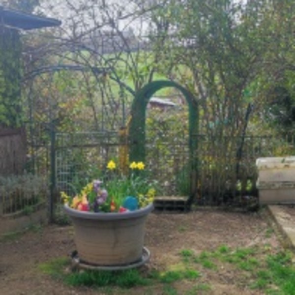 Foto dell'alloggio