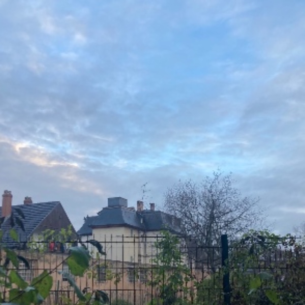 Foto dell'alloggio