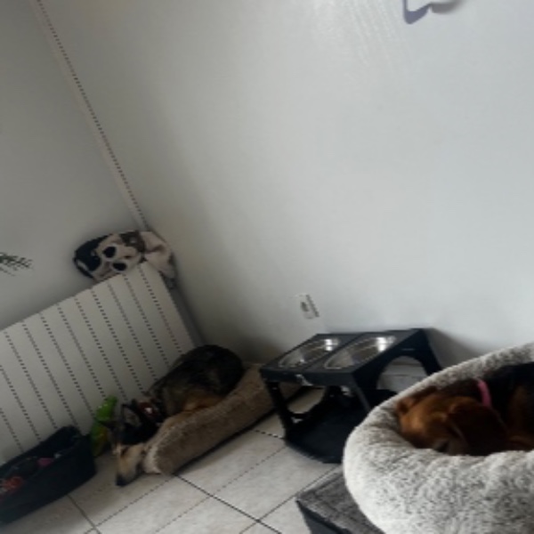 Foto dell'alloggio