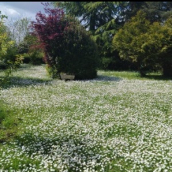 Foto dell'alloggio