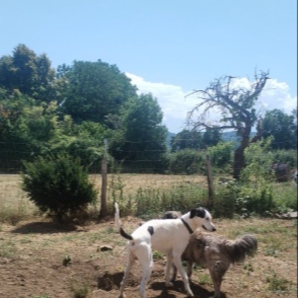 Foto dell'alloggio