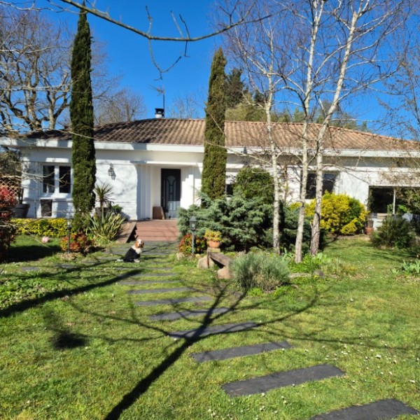 Foto dell'alloggio