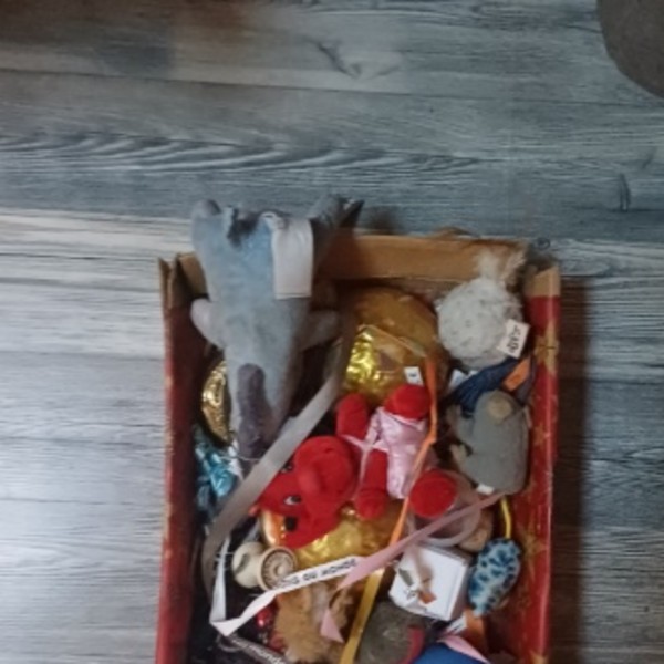 Foto dell'alloggio