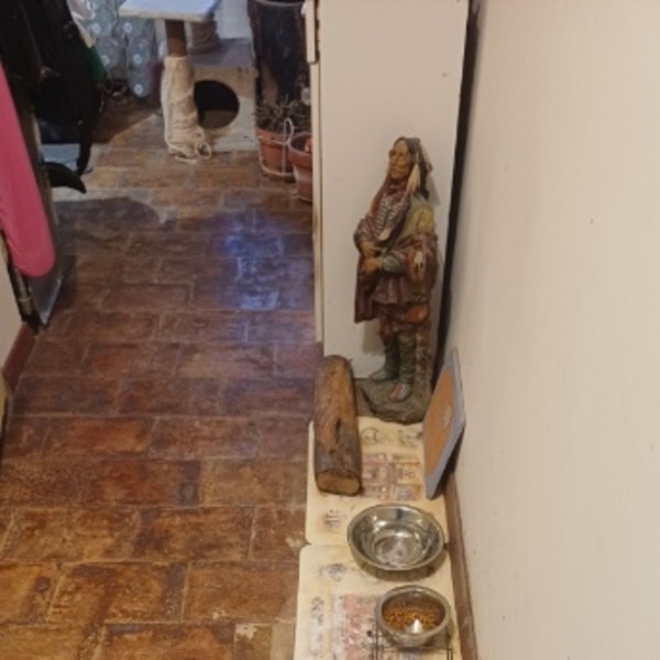 Foto dell'alloggio