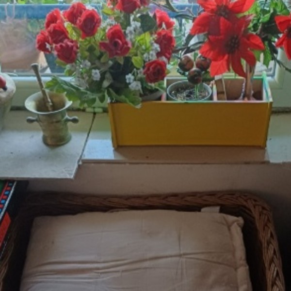 Foto dell'alloggio
