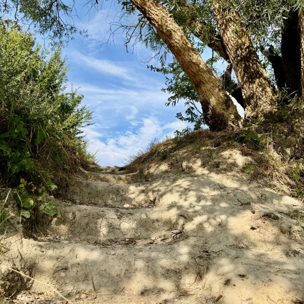 Foto dell'alloggio