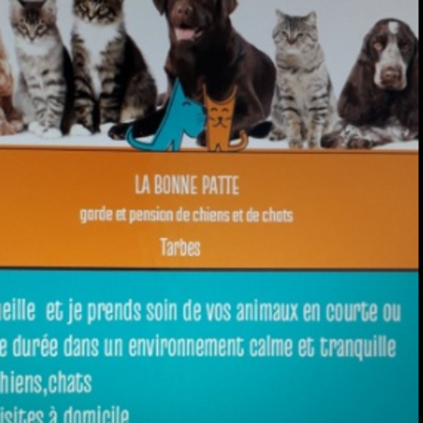 Foto dell'alloggio