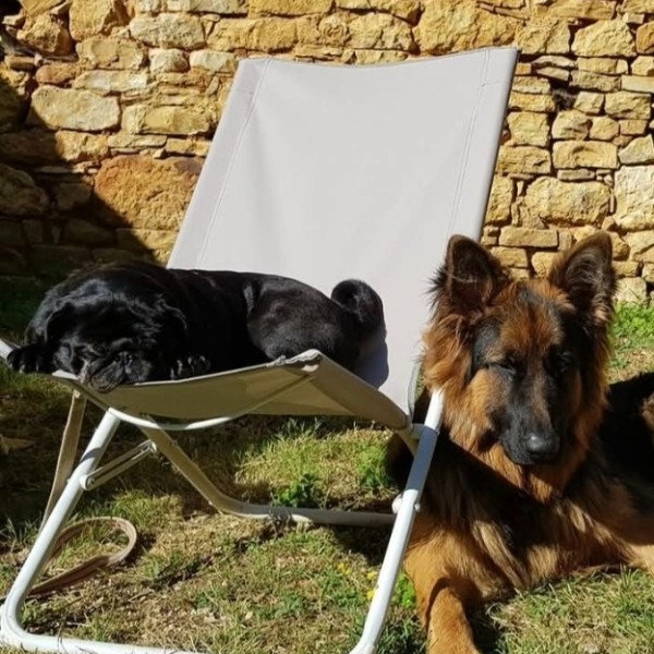 Foto dell'alloggio