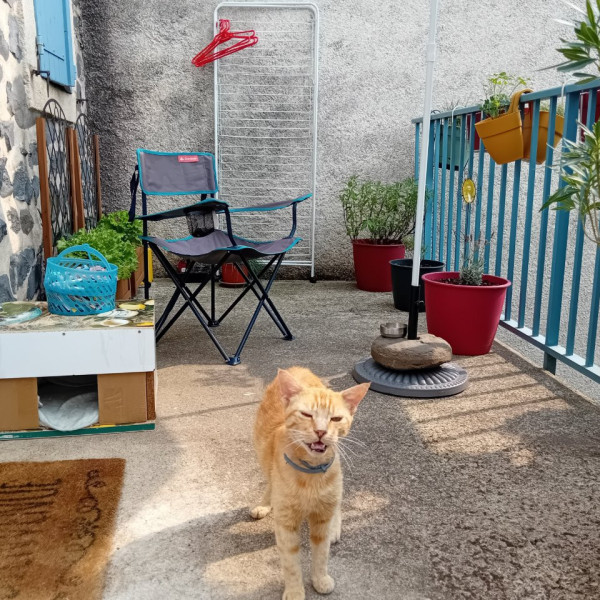 Foto dell'alloggio