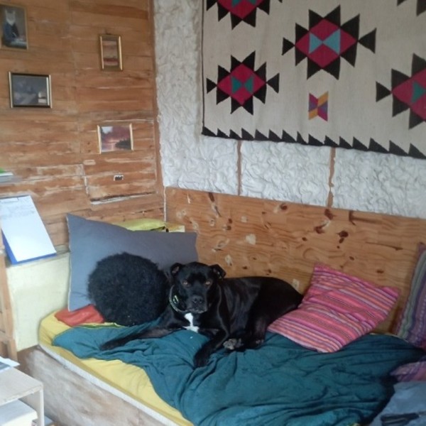 Foto dell'alloggio