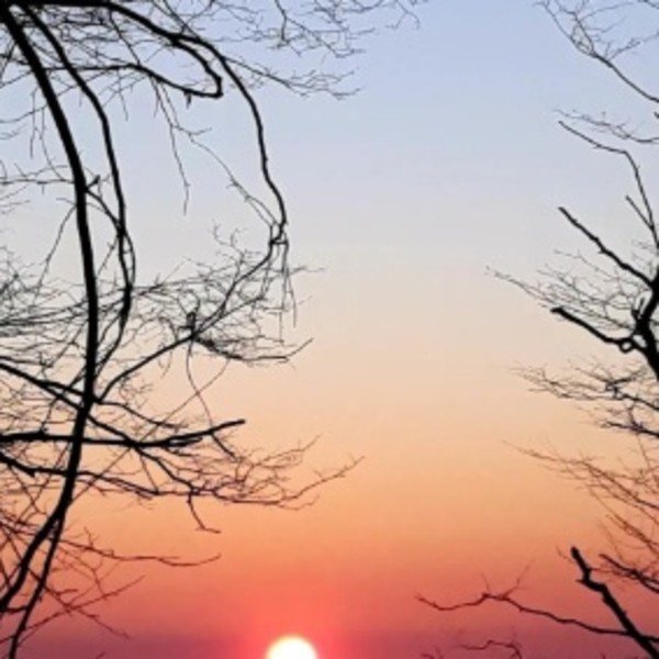 Foto dell'alloggio