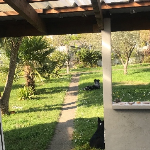 Foto dell'alloggio