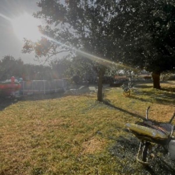 Foto dell'alloggio