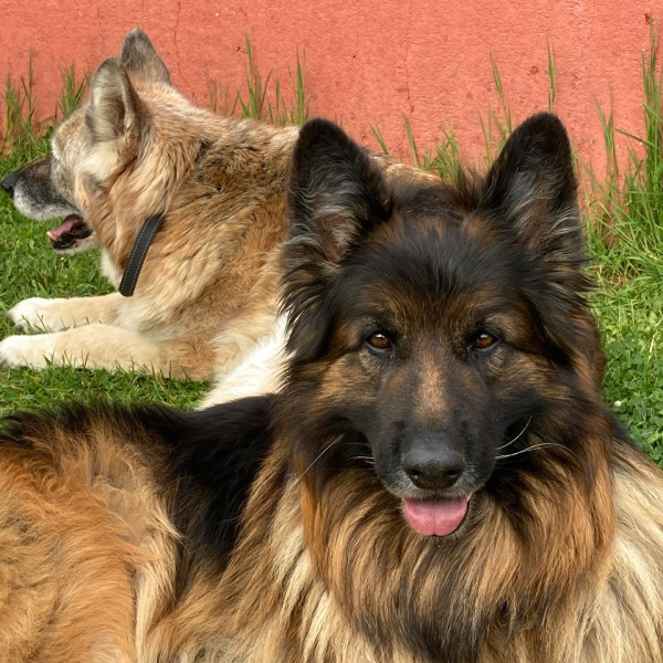 Foto dell'alloggio
