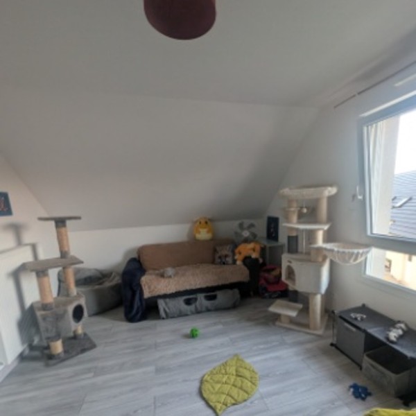 Foto dell'alloggio