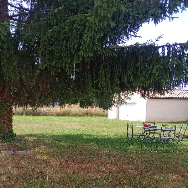 Foto dell'alloggio