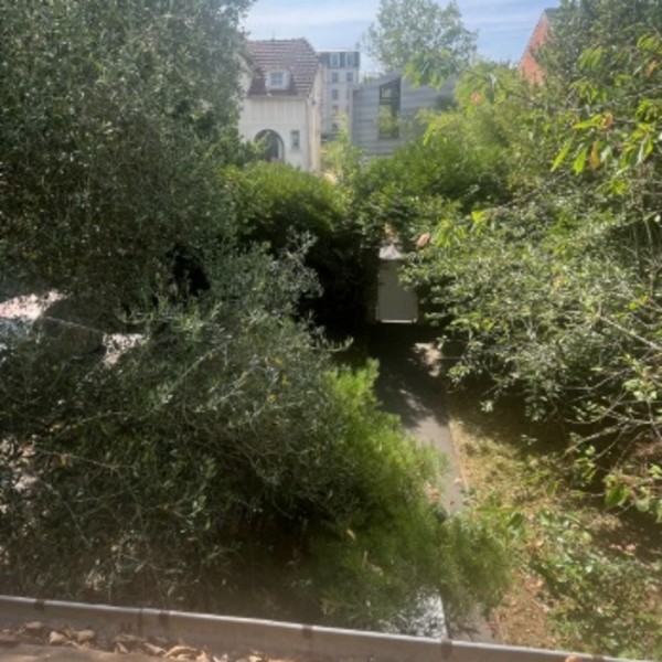 Foto dell'alloggio