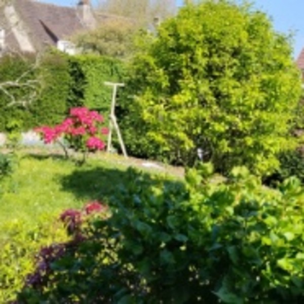 Foto dell'alloggio