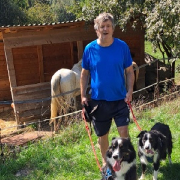 Foto dell'alloggio