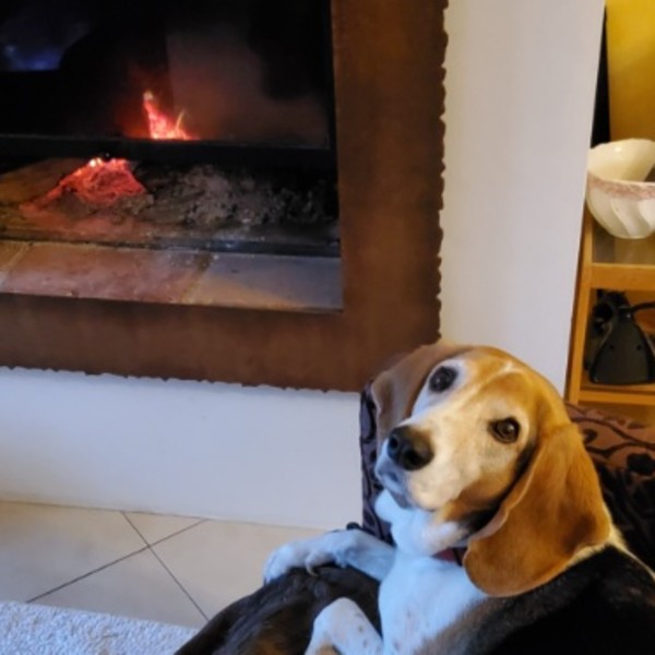 Foto dell'alloggio
