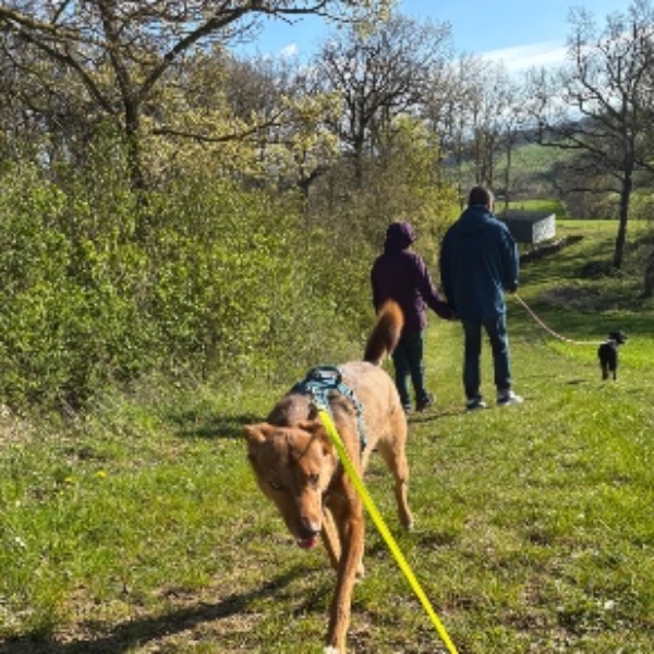 Foto dell'alloggio
