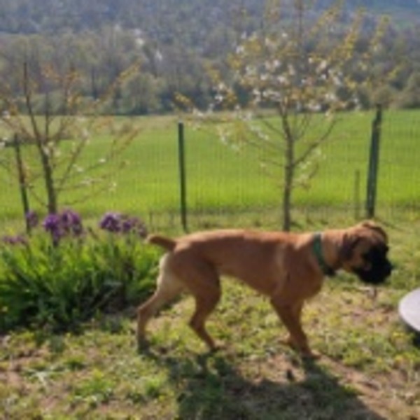 Foto dell'alloggio