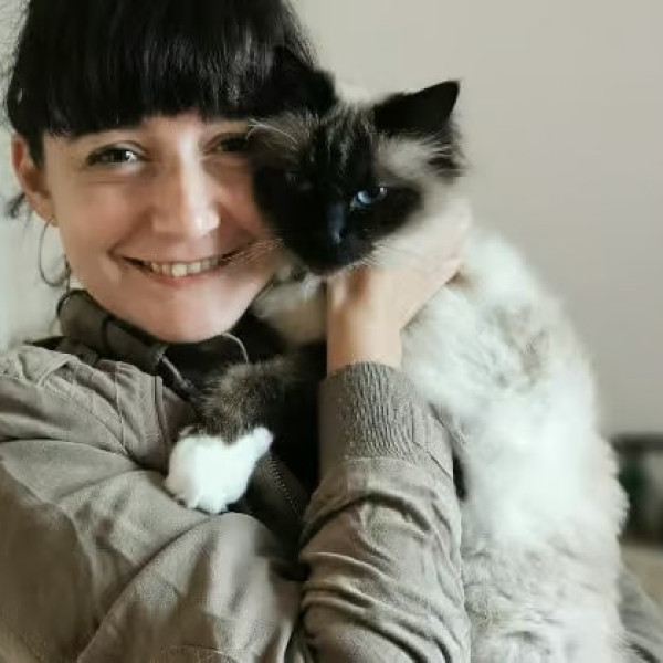 Foto dell'alloggio
