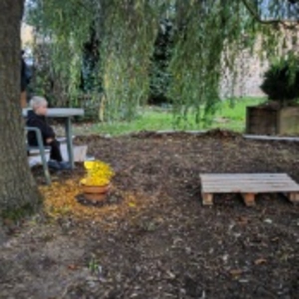 Foto dell'alloggio