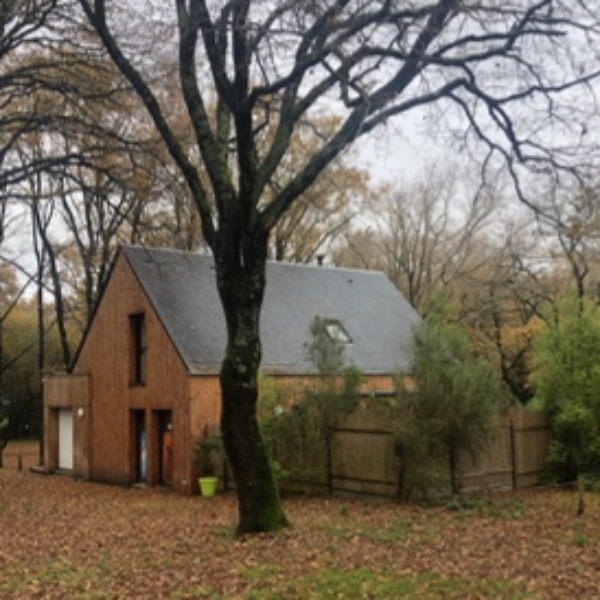 Foto dell'alloggio