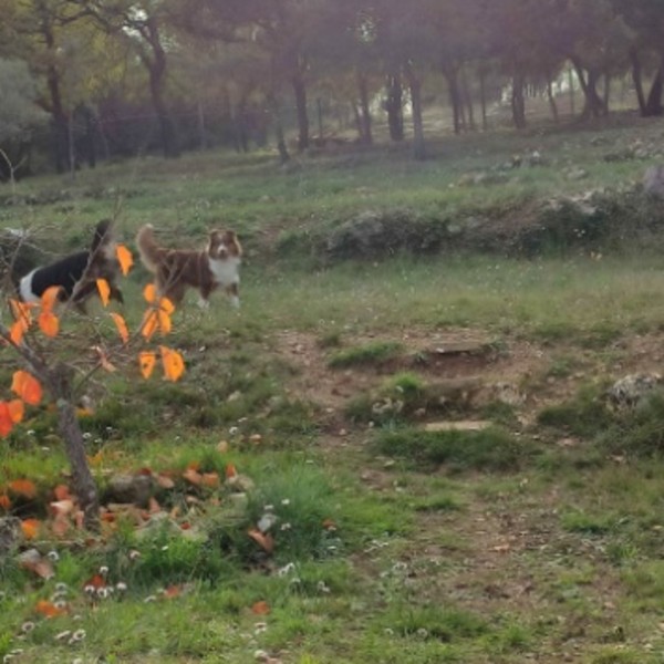 Foto dell'alloggio