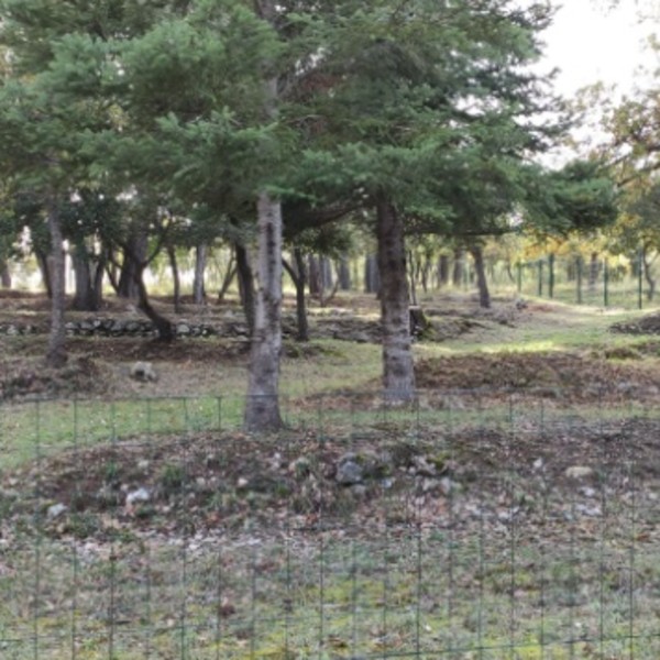 Foto dell'alloggio