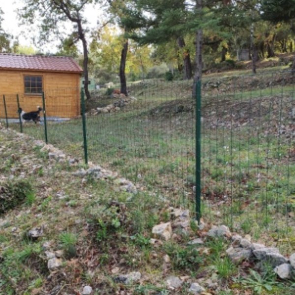 Foto dell'alloggio