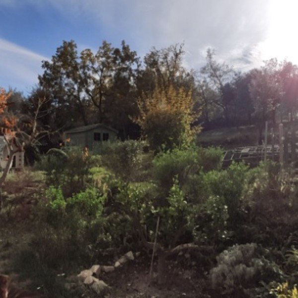 Foto dell'alloggio