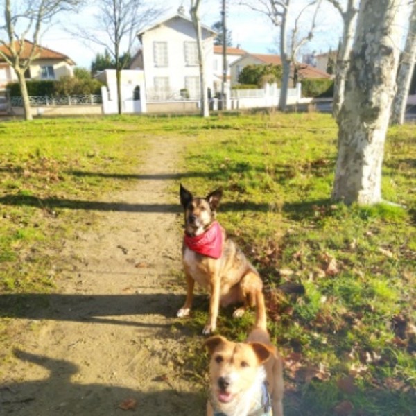 Foto dell'alloggio
