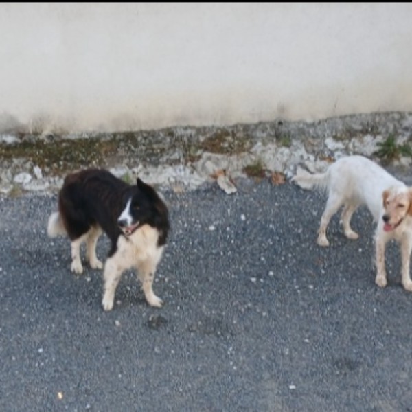 Foto dell'alloggio