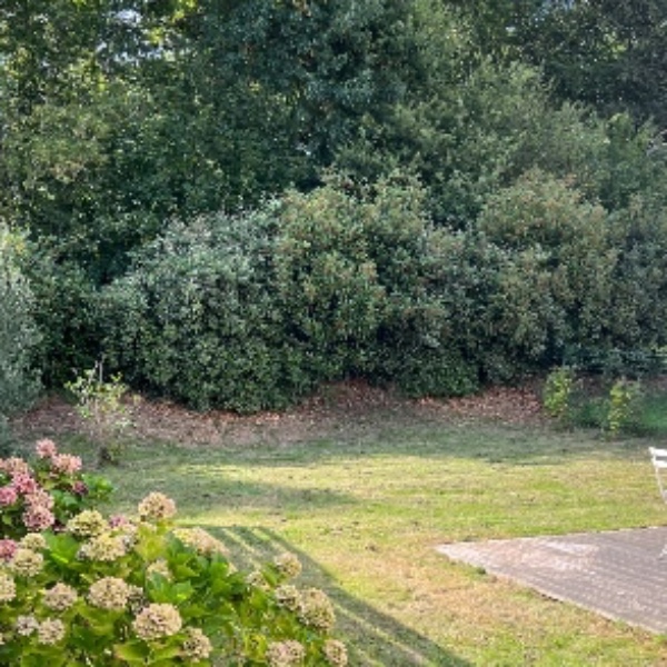 Foto dell'alloggio