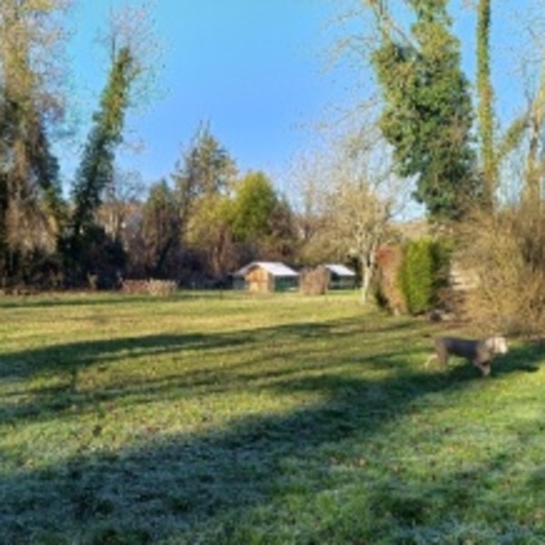 Foto dell'alloggio