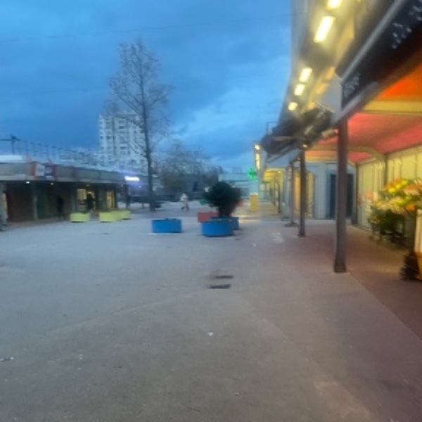 Foto dell'alloggio