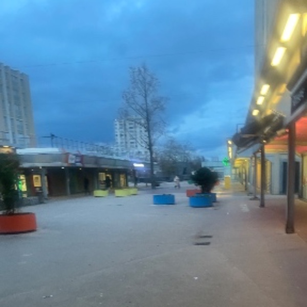 Foto dell'alloggio
