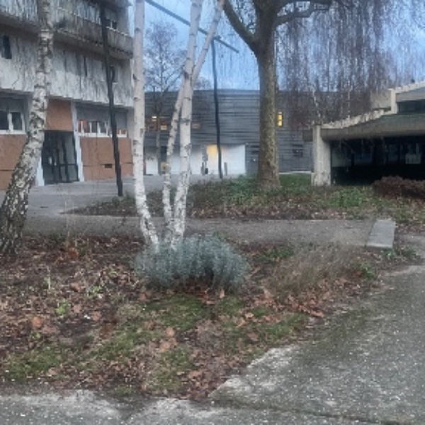 Foto dell'alloggio