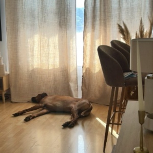 Foto dell'alloggio