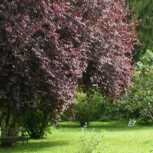 Foto dell'alloggio