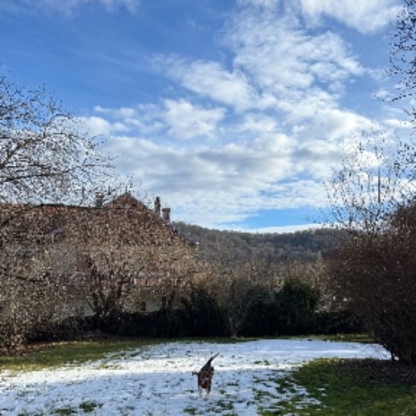Foto dell'alloggio