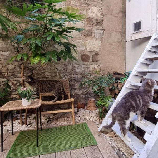Foto dell'alloggio