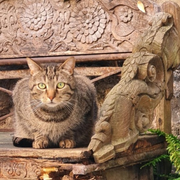 Foto dell'alloggio
