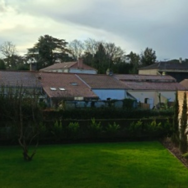 Foto dell'alloggio